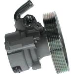 Bosch mechanische Servopumpe K S02 000 080