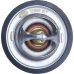 Thermostat, Kühlmittel 352317100860 Thermostat, Kühlmittel 352317100860