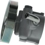 Bosch mechanische Servopumpe K S02 000 080