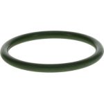 O-Ring 3400210107 O-Ring 3400210107
