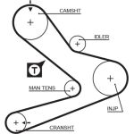 Gates Zahnriemensatz K015495XS Gates Zahnriemensatz K015495XS