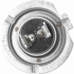 VEMO Glühlampe, Nebelscheinwerfer V99-84-0002 VEMO Glühlampe, Nebelscheinwerfer V99-84-0002