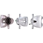 Tauschbremssattel 3299410
