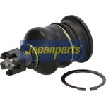 Gelenk - Radaufhängung P. Lexus Is Jce (Jce1_, Gxe1_) 99 BJ-251 Gelenk - Radaufhängung P. Lexus Is Jce (Jce1_, Gxe1_) 99 BJ-251