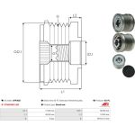 AS-PL Freilauf AFP3021 AS-PL Freilauf AFP3021