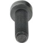 Torx-Zylinderschraube F 00N 202 191 Torx-Zylinderschraube F 00N 202 191
