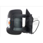 TYC Außenspiegel links W16W manuell verstellbar, konvex, mit Blinker 309-0166 OE Nummer 8153PF - l TYC Außenspiegel links W16W manuell verstellbar, konvex, mit Blinker 309-0166 OE Nummer 8153PF - l