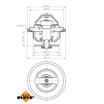 725047 NRF Thermostat 725047