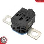 ESEN SKV Sensor, Batteriemanagement 96SKV330 ESEN SKV Sensor, Batteriemanagement 96SKV330