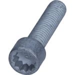 N10660901 VAG Original N10660901 Schraube VW Touareg 06 – – OE-Nr. N10660901