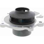 Vaico Wasserpumpe / Kühlmittelpumpe V40-50060