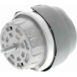 V10-1675 Vaico Motorlager V10-1675 V10-1675 Vaico Motorlager V10-1675