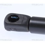 Gasfeder, Motorhaube 871029153