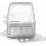 Vemo Motorölkühler V20-60-0041 Vemo Motorölkühler V20-60-0041
