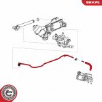 SKV GERMANY Schlauch 43SKV824 SKV GERMANY Schlauch 43SKV824