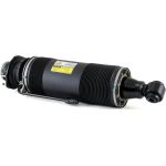 Arnott Luftfederbein HA re SK-2414 Arnott Luftfederbein HA re SK-2414