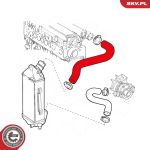 SKV GERMANY Luftschlauch 24SKV925