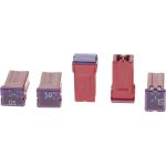 Bosch Sicherung 1987529060 Bosch Sicherung 1987529060