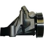 SPIDAN Hydraulikpumpe 54174 SPIDAN Hydraulikpumpe 54174