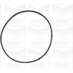 PA 541A Wasserpumpe PA541A PA 541A Wasserpumpe PA541A