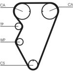 Zahnriemen CT974 Zahnriemen CT974