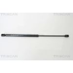 Gasfeder, Koffer-/Laderaum 871016239