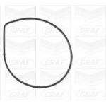 PA 1072 Wasserpumpe PA1072
