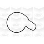 GRAF Wasserpumpe PA809 GRAF Wasserpumpe PA809