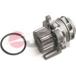JPN Wasserpumpe 10C9079-JPN