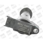 BorgWarner (BERU) Zündspule ZS557 BorgWarner (BERU) Zündspule ZS557