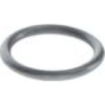 O-Ring 3430210603 O-Ring 3430210603