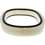 CHAMPION Luftfilter CAF100229R CHAMPION Luftfilter CAF100229R