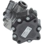 Servopumpe K S00 000 522 Servopumpe K S00 000 522