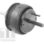 TEDGUM Motorlagerhalter 00221186 TEDGUM Motorlagerhalter 00221186