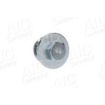AIC Ölablasschraube 54707 - mit Dichtring AIC Ölablasschraube 54707 - mit Dichtring