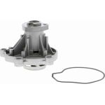 Vaico Wasserpumpe / Kühlmittelpumpe V10-50059