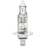 8GH 002 089-251 HELLA Halogenlampe H1 24 V 70 W Sockel P14,5s Heavy Duty – 8GH 002 089-251 8GH 002 089-251 HELLA Halogenlampe H1 24 V 70 W Sockel P14,5s Heavy Duty – 8GH 002 089-251