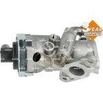NRF AGR-Ventil 48376 NRF AGR-Ventil 48376