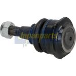 Gelenk - Radaufhängung P. Jeep Grand Cherokee 11- Le/Pr GÓrny BJ-918 Gelenk - Radaufhängung P. Jeep Grand Cherokee 11- Le/Pr GÓrny BJ-918