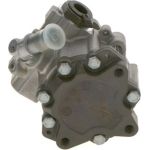 Bosch Servopumpe K S00 000 684 Bosch Servopumpe K S00 000 684