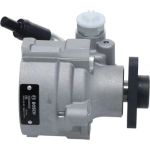 Bosch mechanische Servopumpe K S02 000 000