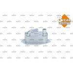 NRF Ölkühler, Motoröl 31313 NRF Ölkühler, Motoröl 31313