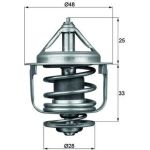 Thermostateinsatz mit Dichtung TX 87 77D Thermostateinsatz mit Dichtung TX 87 77D