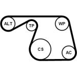 Continental CTAM Timing-Kit 6PK1310WP1 Continental CTAM Timing-Kit 6PK1310WP1