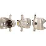 Tauschbremssattel 3118020