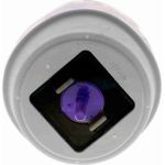 Vaico Motorlager V10-2960 Vaico Motorlager V10-2960