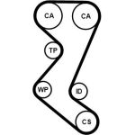 Continental CTAM Timing-Kit CT1019K1 Continental CTAM Timing-Kit CT1019K1
