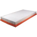 FILTRON Luftfilter AP 158/2