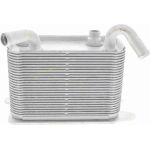 Vemo Motorölkühler V15-60-6067 Vemo Motorölkühler V15-60-6067