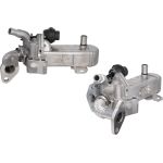 Valeo AGR-Ventil 700452